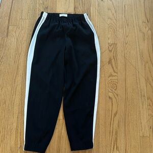 Aritzia pants
